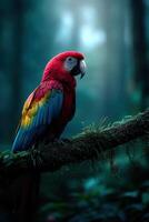 Colorful parrot perched on a mossy branch in a dense forest at dawn photo