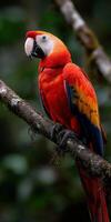 Vibrant red macaw perched on a branch in a lush rainforest environment photo