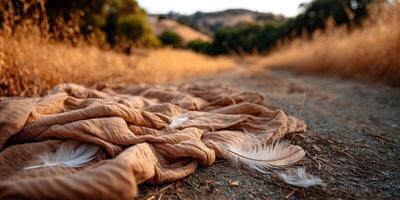 Textured fabric and feathers scattered along a rural pathway at sunset photo