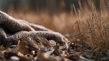 Soft blanket resting on dry grass with feathers and leaves scattered around photo
