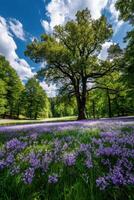 Vibrant purple flowers bloom beneath a towering tree in a sunny forest meadow photo