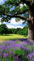 Vibrant field with purple flowers and majestic tree under a bright sky photo