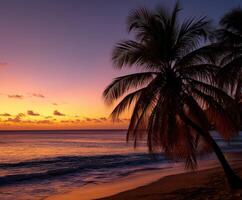 Sunset over tranquil beach with silhouette of palm trees along the shoreline photo