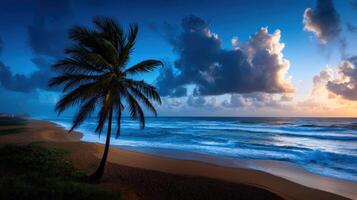 Beautiful sunset over the ocean with palm tree silhouette along the beach photo