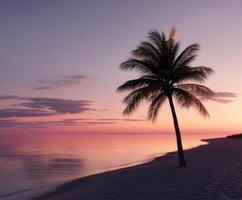 Serene sunset at a tropical beach with a palm tree silhouette photo