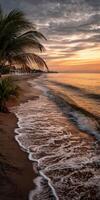 Sunset over calm beach with gentle waves and palm trees in the foreground photo