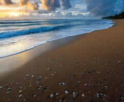 Beautiful beach at sunrise with shells scattered on the sand photo