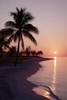 Sunset over the tranquil beach with silhouetted palm trees in Florida photo