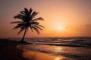 Sunset over the ocean with a silhouette of a palm tree on the shore photo