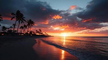 Vibrant sunset over tropical beach with palm trees and calm waves photo