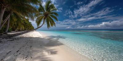Tropical beach with palm trees and clear blue water under a cloudy sky photo