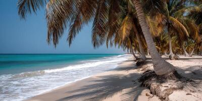 Beautiful tropical beach with palm trees swaying in the ocean breeze photo