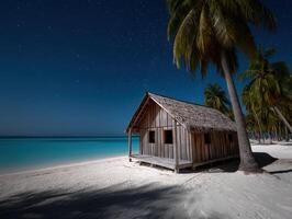 Starlit beach house surrounded by palm trees on a tranquil night photo