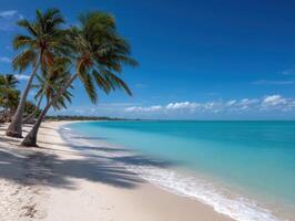 Calm beach with palm trees and clear turquoise water during a sunny day photo