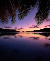 A purple sunset over the water with palm trees photo