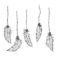 Set of five hand drawn feathers hanging on strings, monochrome ink illustration in boho and tribal style. Perfect for dreamcatcher design, esoteric art, DIY crafts or tattoo sketches. vector