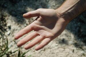 A close-up of a human hand reaching out against a textured natural background photo