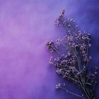 Delicate lavender sprigs against a soft purple gradient background, creating a serene atmosphere photo