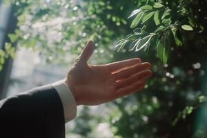 A business professional reaching out towards vibrant green leaves in a sunlit office space photo
