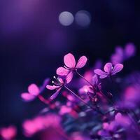 Vibrant close-up of purple flowers blooming in a softly blurred garden background photo