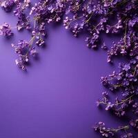 Vibrant purple flowers elegantly arranged on a solid background, creating a serene atmosphere photo