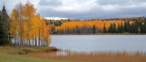 Autumn lake, golden trees, cloudy sky, peaceful scene photo