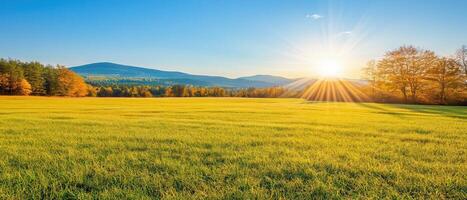 Autumn sunset over grassy field, mountains backdrop photo