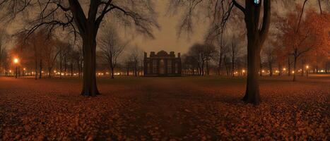 Autumn night park, building, leaf-covered ground, lights photo