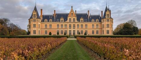 Autumnal Chateau Vineyard, France photo