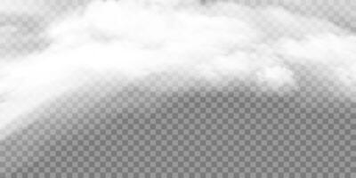 White realistic fog, smog background special effect vector