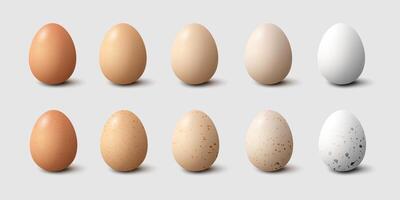 Plain and Speckled Eggs on White Background vector