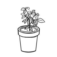 Soybean stock in pot doodle black and white vector