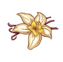 vanilla image drawing color hand made vector