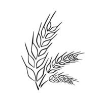 rye image line outline madehand vector