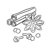 cinnamon spice set line, outline illustration, hand drawn vector