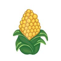 Image of corn cob color handmade vector