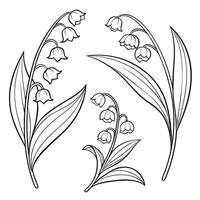 Elegant lily of the valley outline illustration design vector