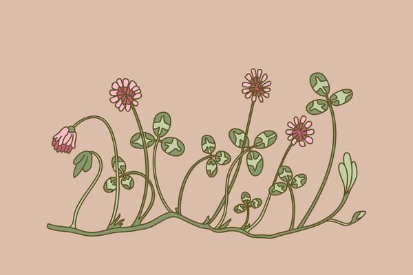 Botanical floral border isolated on beige background. Hand drawn doodle clover plant with pink Flowers Stems green Leaves illustration. Graphic design element for Birthday Wedding Greeting Card