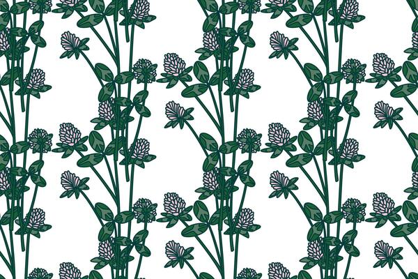 Botanical floral seamless pattern with clover illustration. Repeating clover plants with Flowers Stems Leaves in white background. Graphic design for Fashion Cover Textile Wedding Greeting Card