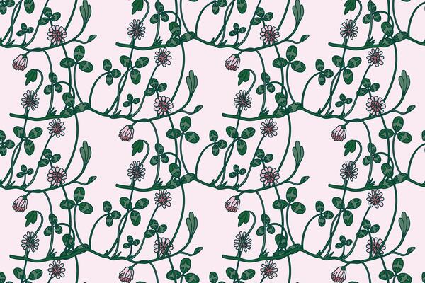 Botanical floral seamless pattern with clover illustration. Repeating clover plants with Flowers Stems Leaves in pink background. Graphic design for Fashion Cover Textile Wedding Greeting Card