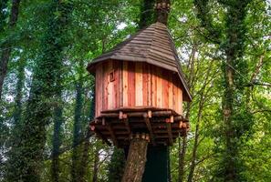 Treehouse Hideaway in the Forest photo