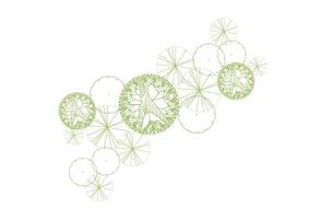 Parchitecture drawing plant tree top view plan greenery vegetation . design nature architectural landscape set element vector