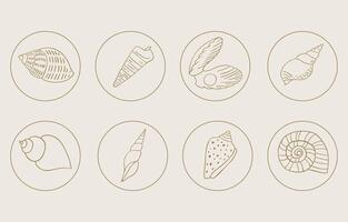 summer icon with shell circle vector