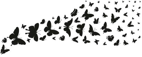 Flying Butterfly Silhouettes Set. Classic Shapes on White vector