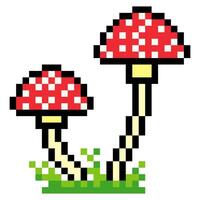 Mushroom in pixel art style isolated on white background vector