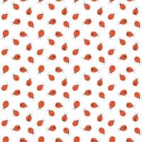 Ladybug seamless pattern on white background in cartoon flat style vector
