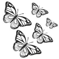 A captivating collection of intricately illustrated butterflies, presented in a monochrome aesthetic. Witness their elegant flight and unique patterns vector