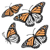 A group of monarch butterflies, with their distinctive orange and black patterns, dance gracefully, presenting a beautiful sight. vector