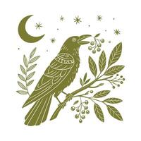 Dove of peace denotes forgiveness pigeon bird boho handdrawn style vector