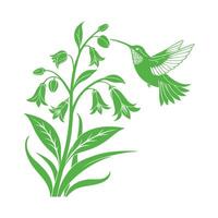 Hummingbird hovering near a red flower pollination and nature illustration vector